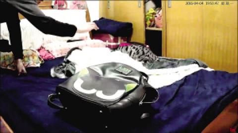 愛貓受傷女主人安裝監(jiān)控“抓”兇手貓咪猝亡 原來是被男室友虐打致死